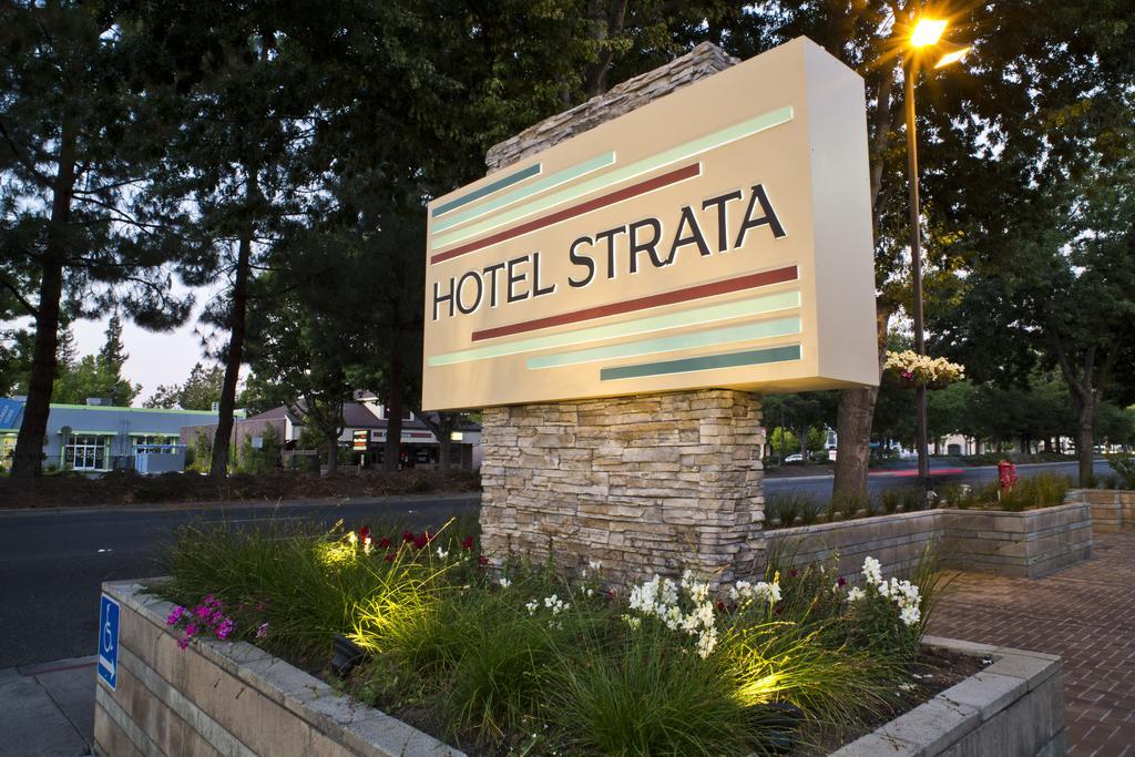 Hotel Strata Mountain View Dış mekan fotoğraf